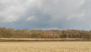 Boyer Bois de Vaivre Saone