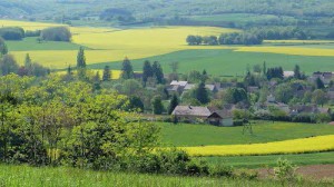 Télécharger le Règlement assainissement Collectif de la Commune de BOYER